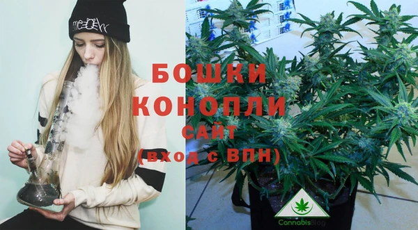 гидропоника Абаза