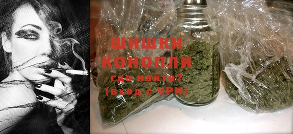 PSILOCYBIN Алзамай