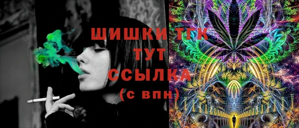 шишки Абинск