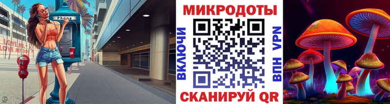 Псилоцибиновые грибы Psilocybe  купить наркоту  Исилькуль 